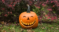 Az ősz gyarmatosítása: hogyan hódította meg a világot a pumpkin spice?